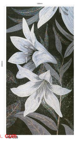 �����ƴϵ��013