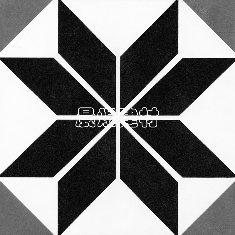 �ڰ�����ϵ��-CY2004