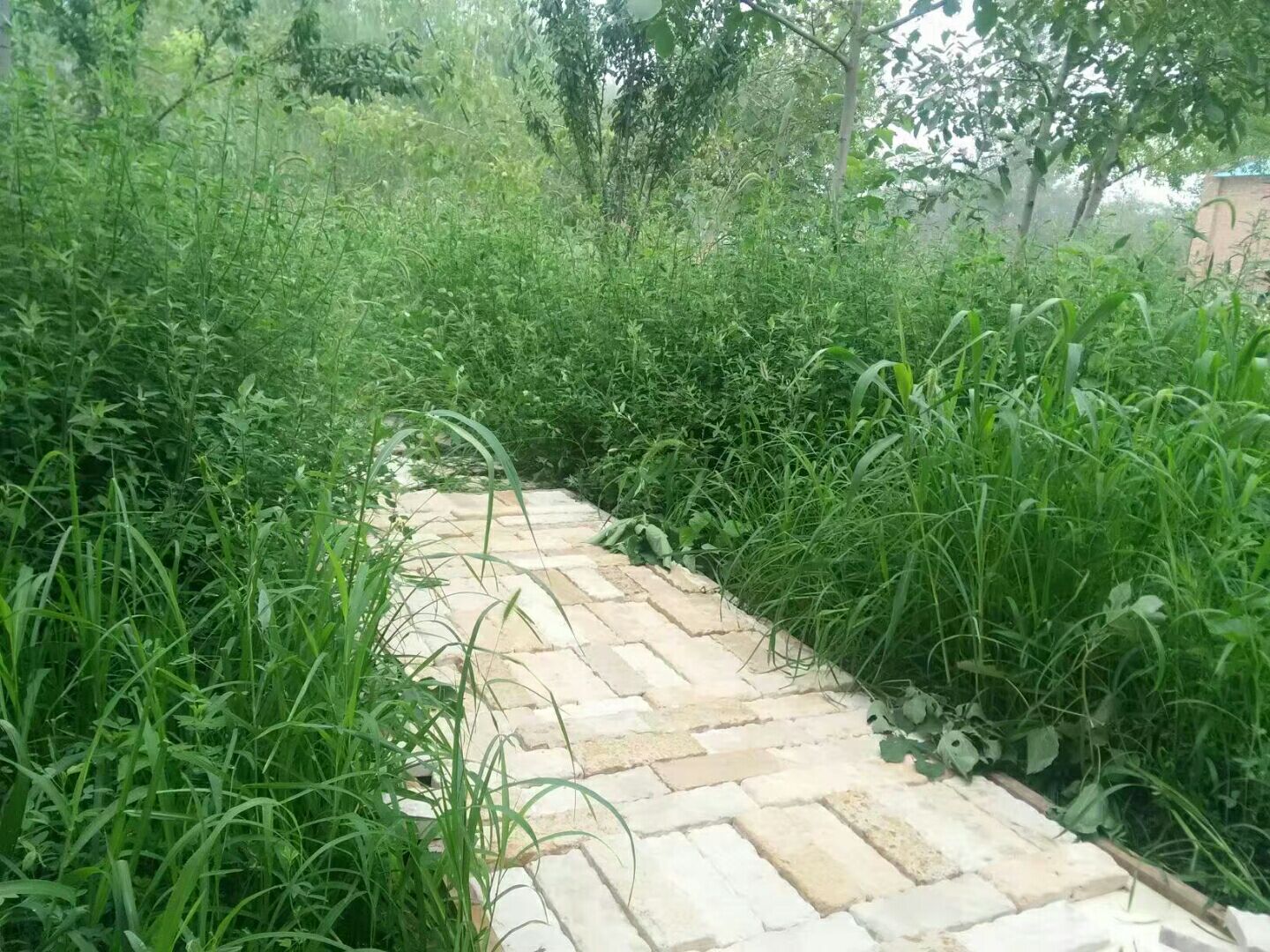 ��һ�ӵ�ʯ�^