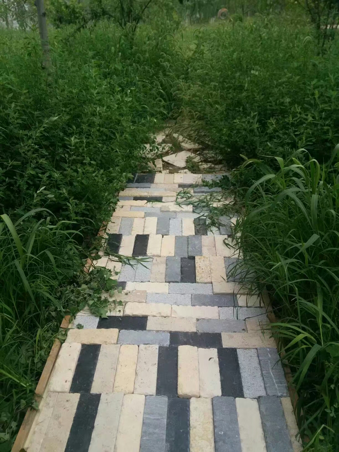 ��һ�ӵ�ʯ�^