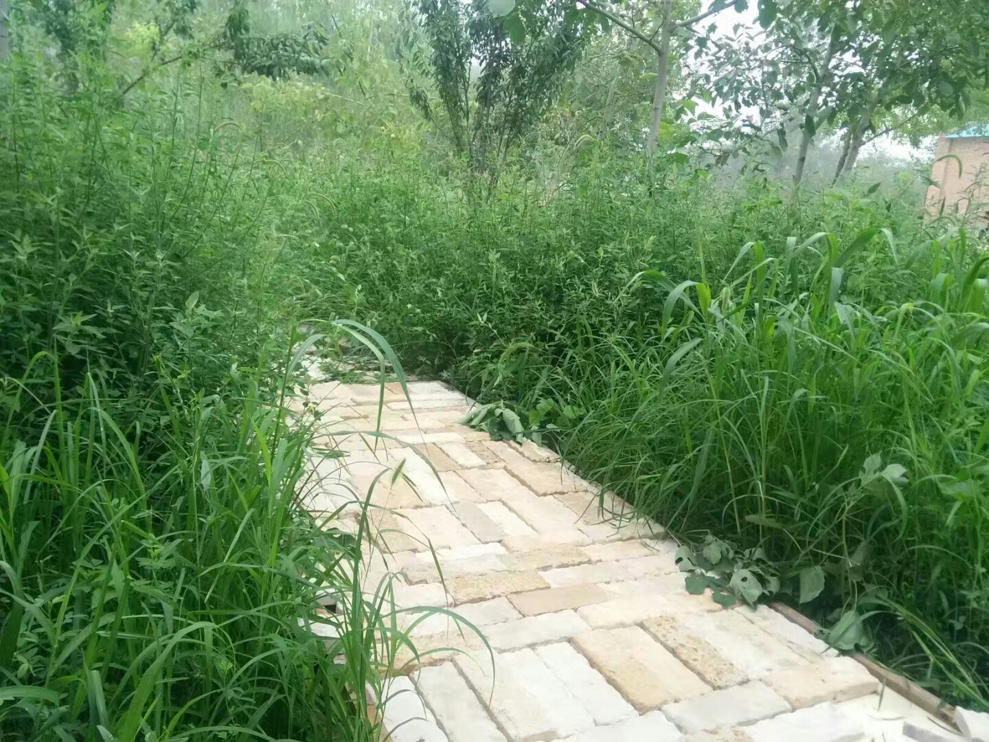 ��һ�ӵ�ʯ�^